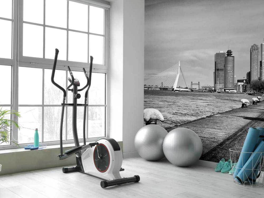 Ville portuaire mondiale Rotterdam 