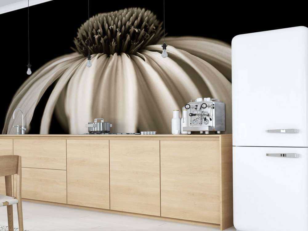 Fleur de cône en gros plan