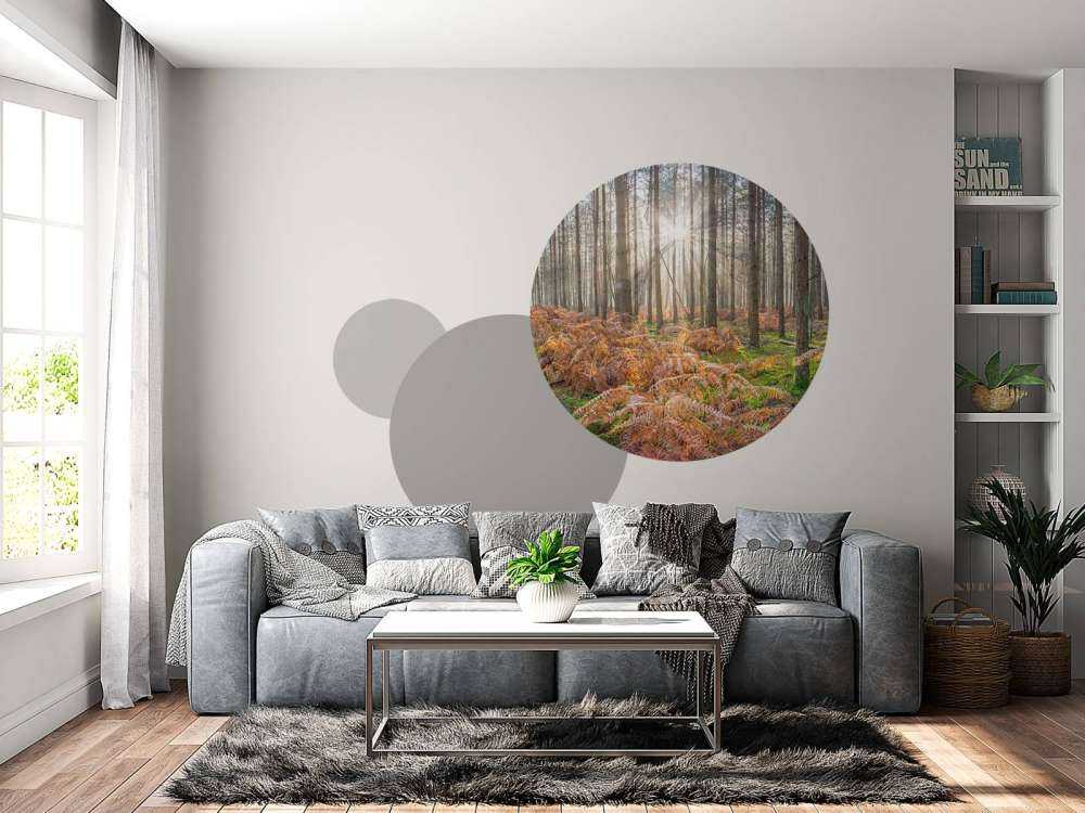 Forêt au lever du soleil