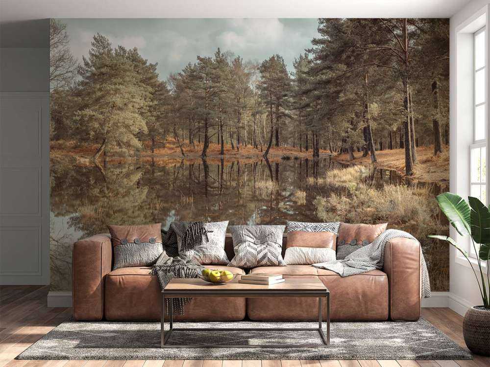 Arbres près d'un lac