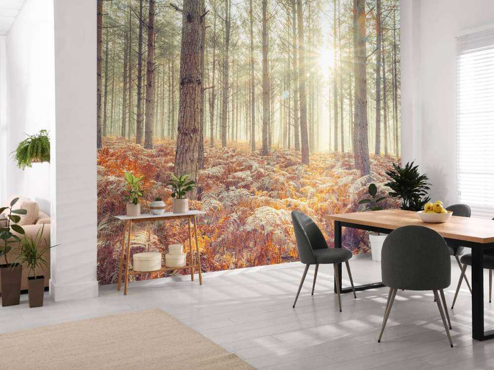 Rayons de soleil à travers des arbres froids