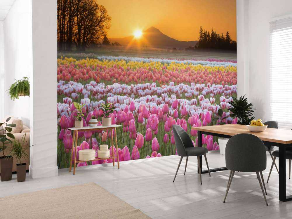 Champ de tulipes coloré