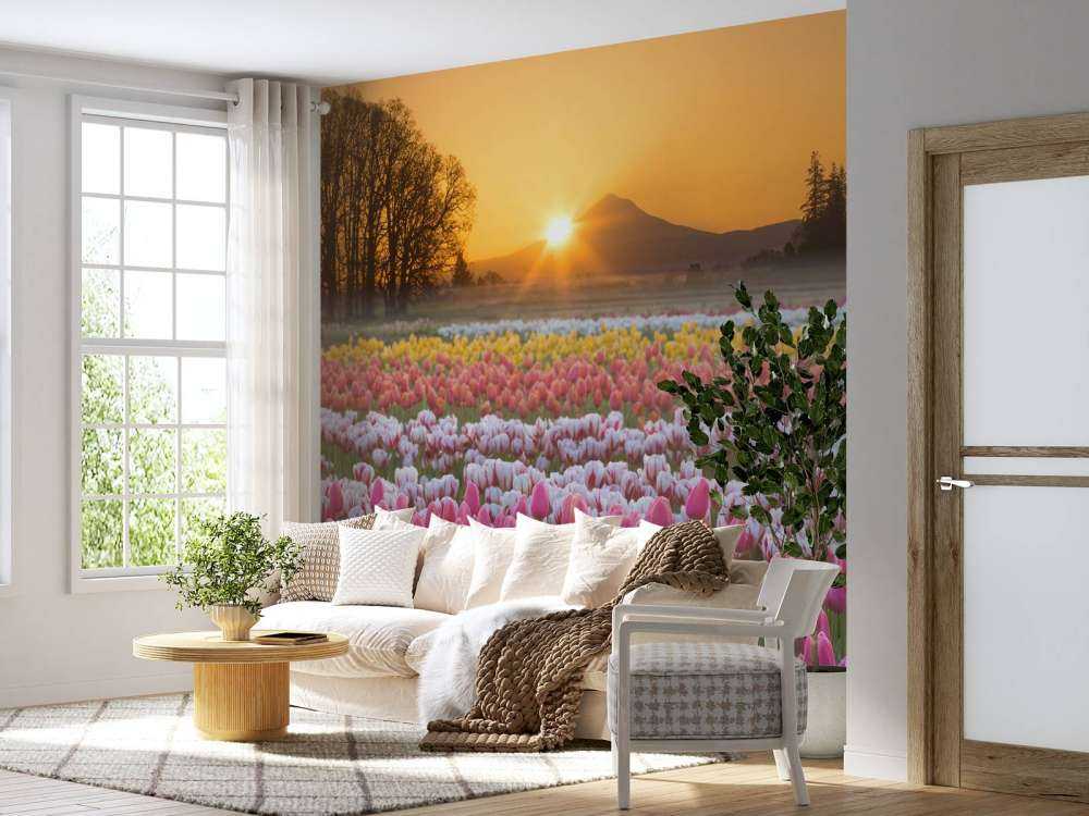 Champ de tulipes coloré