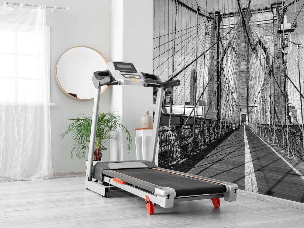 Pont newyorkais en noir et blanc