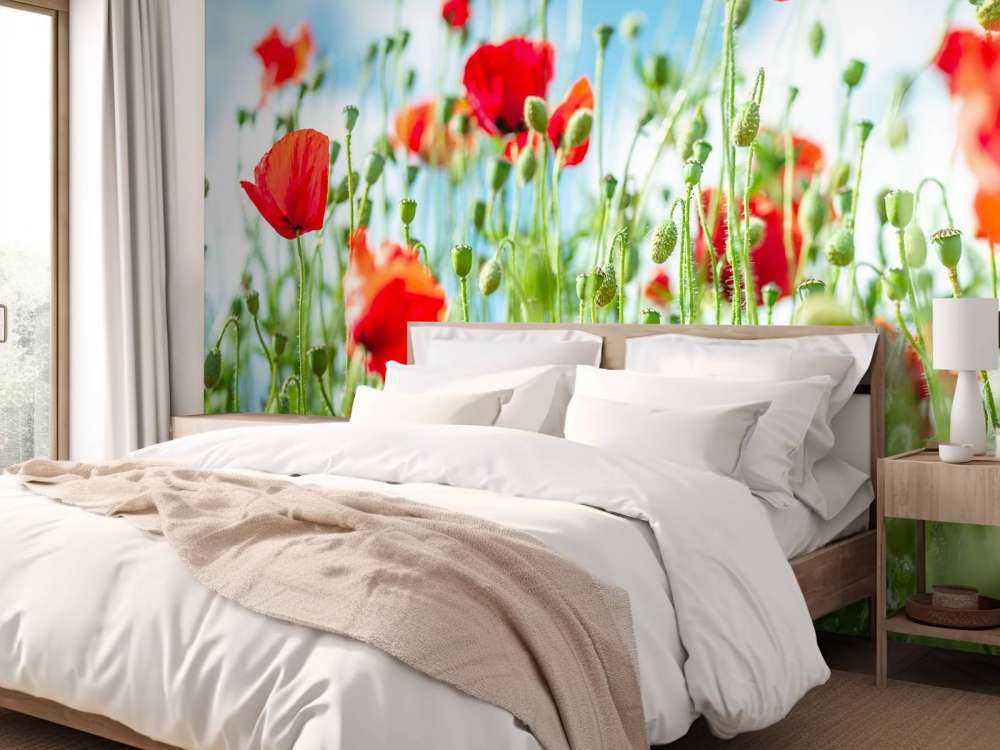 Champ avec des coquelicots