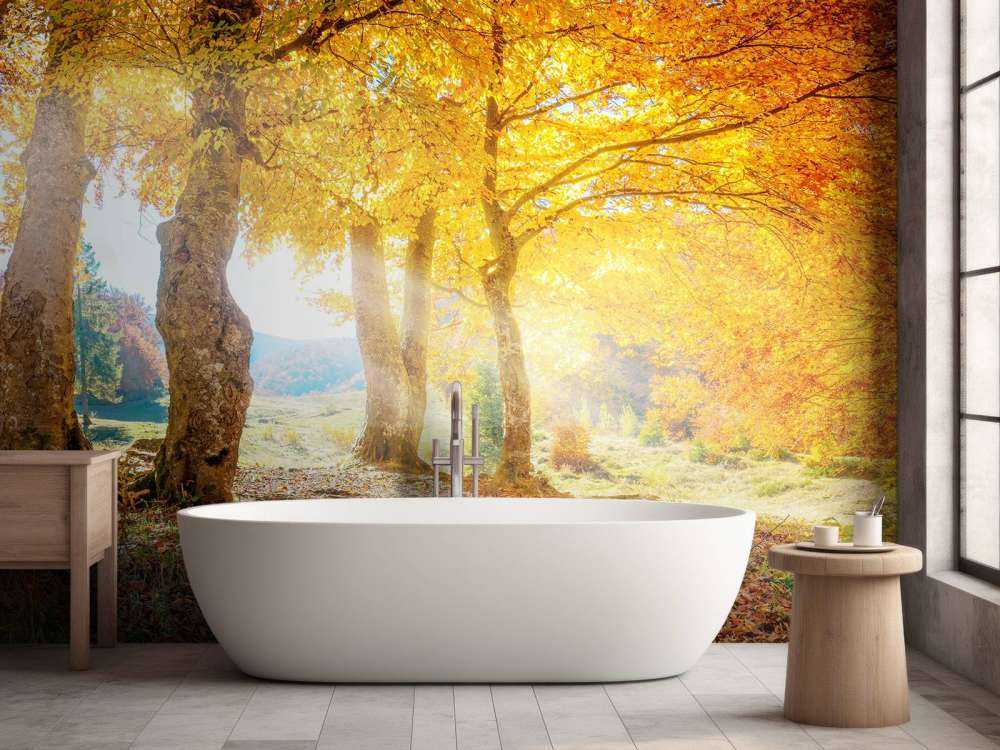 Chaleureux paysage d'automne