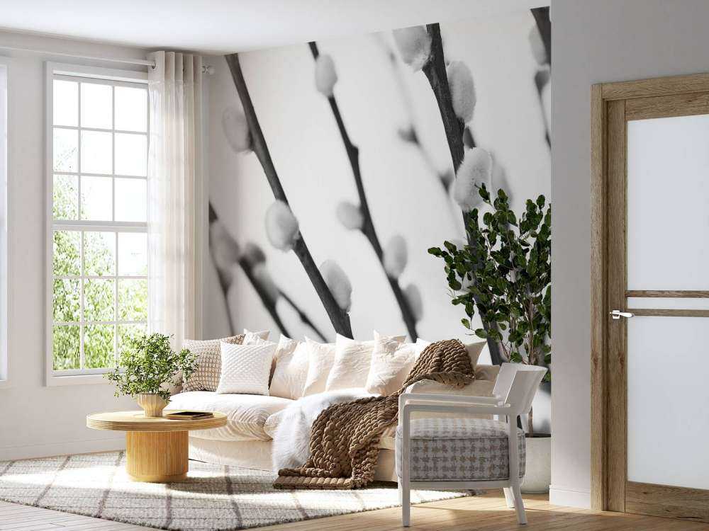 Saule de la forêt en noir et blanc