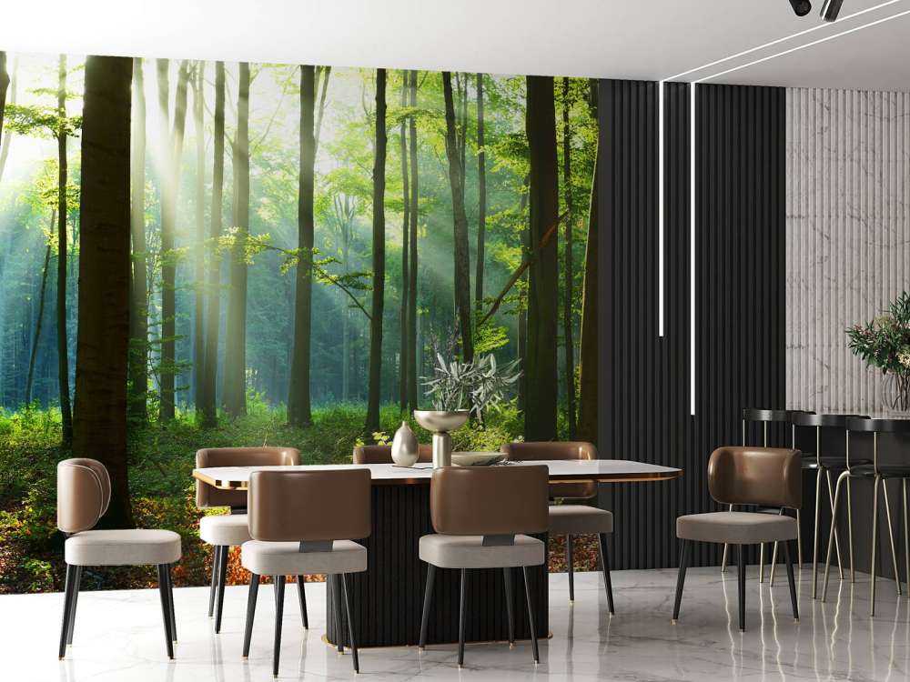 Matin dans la forêt