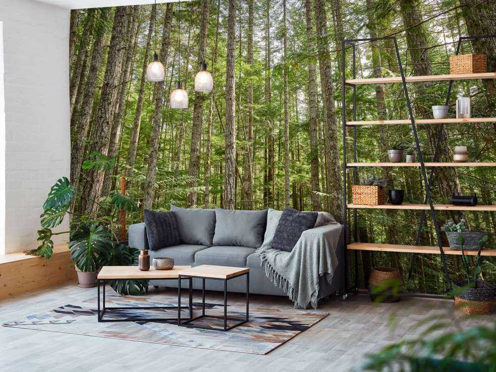 Arbres minces dans la forêt