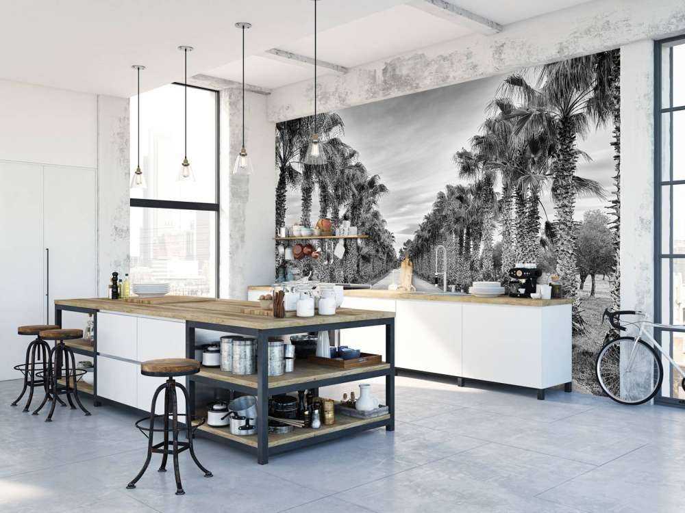 Rue avec des palmiers