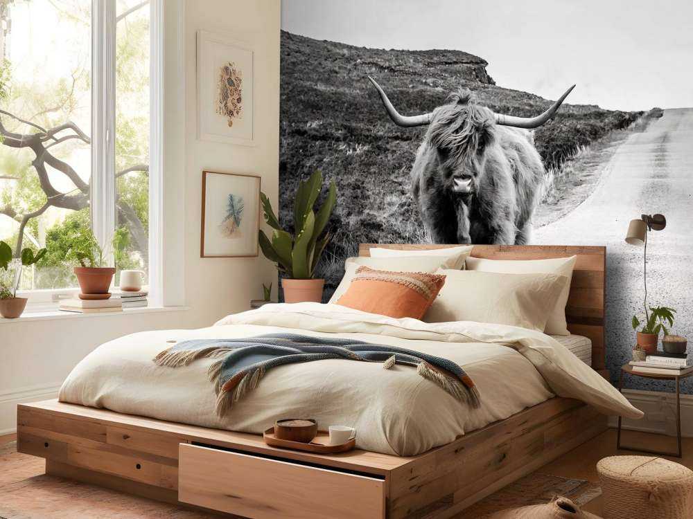 Le Highland écossais sur la route