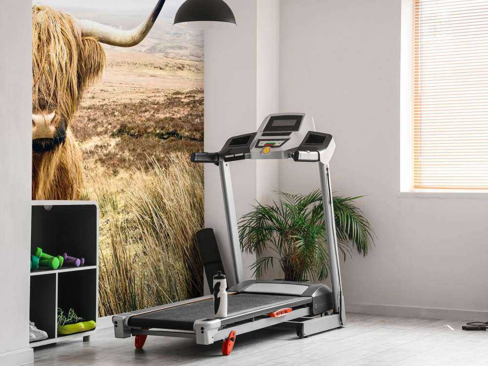 Highland écossais avec roseau