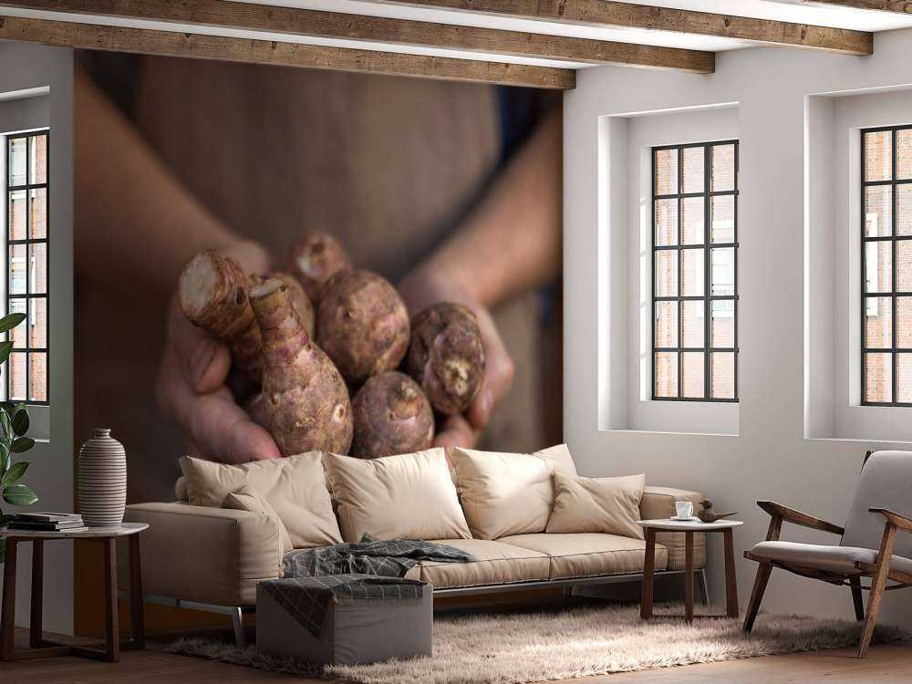 Produits de la terre