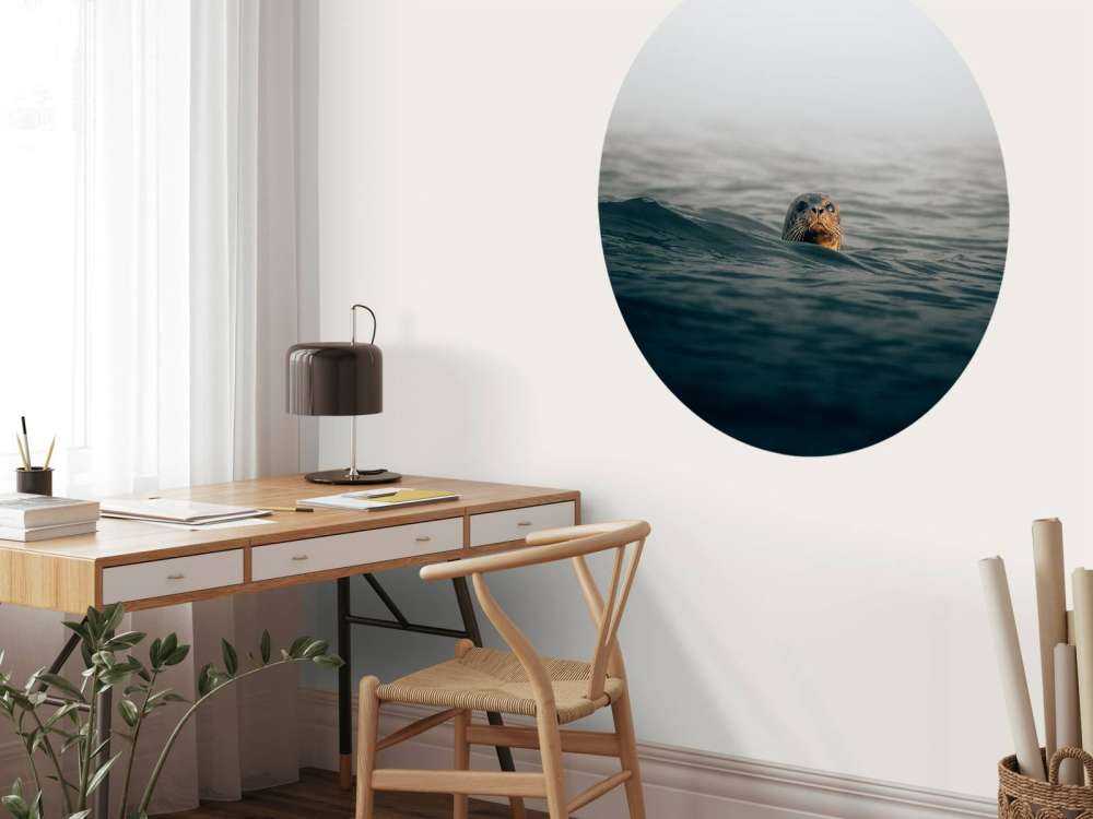 Un phoque au large des côtes danoises