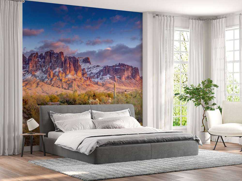 Cactus dans un paysage de montagne