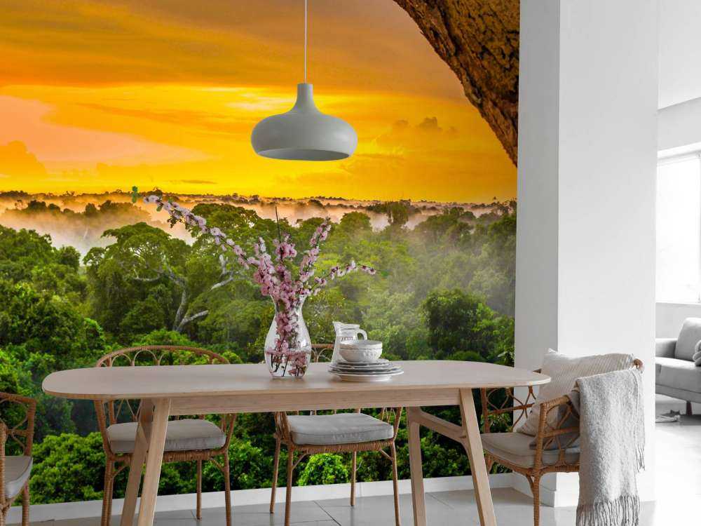 Forêt tropicale au Brésil