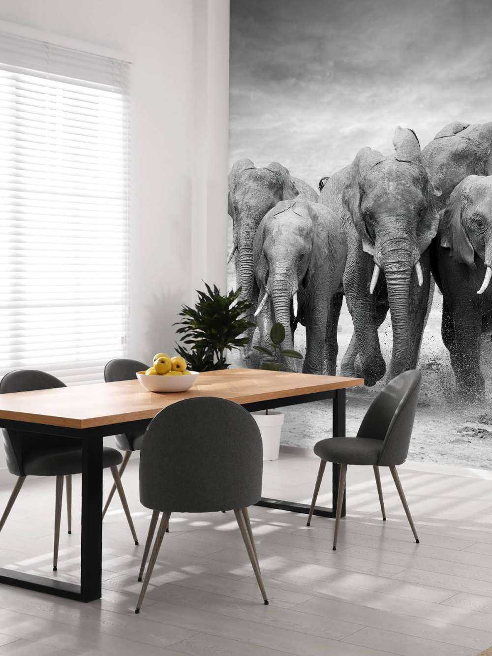 Troupeau d'éléphants