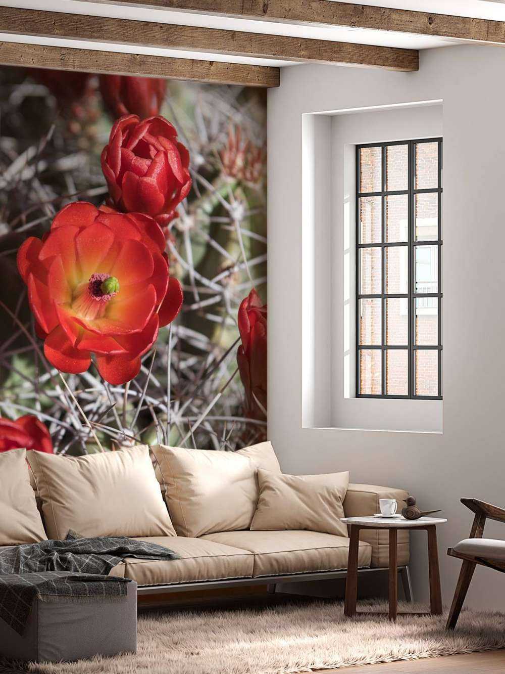 Fleurs de cactus rouge