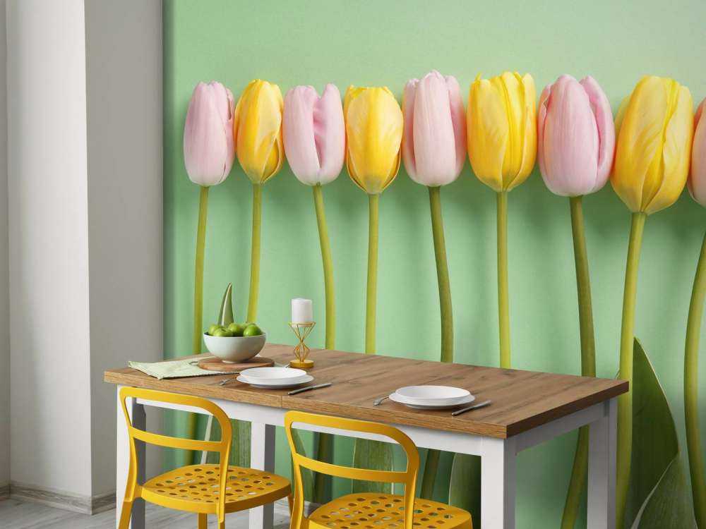 Tulipes sur fond vert menthe