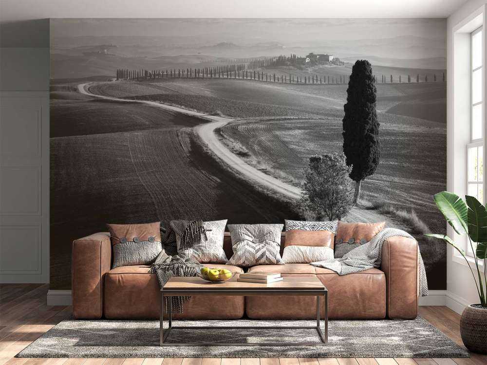 Morning in the field