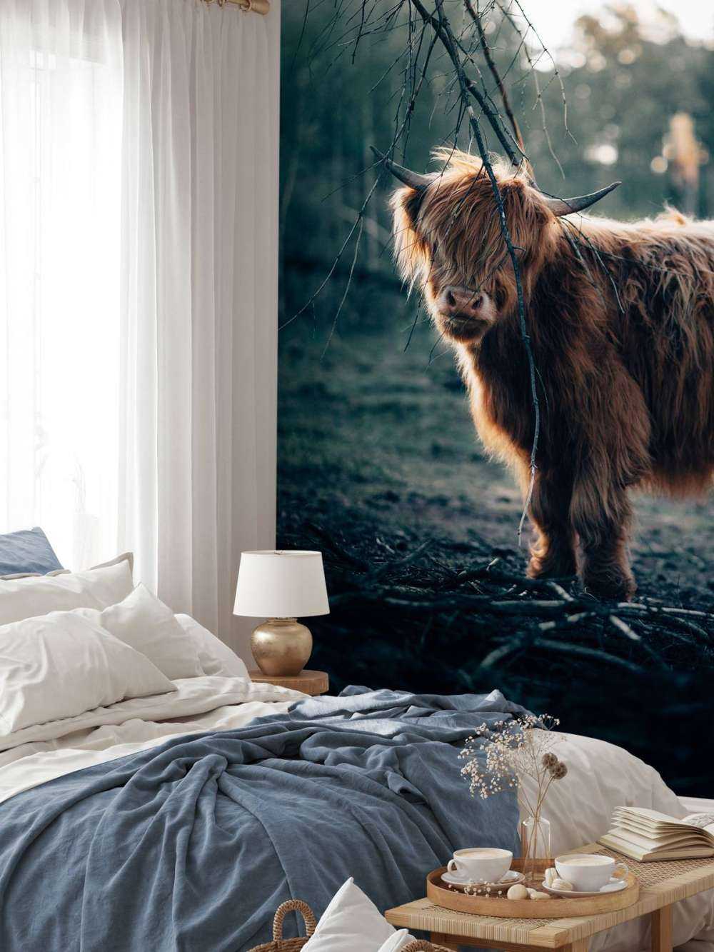 Highlander écossais à l'orée des bois