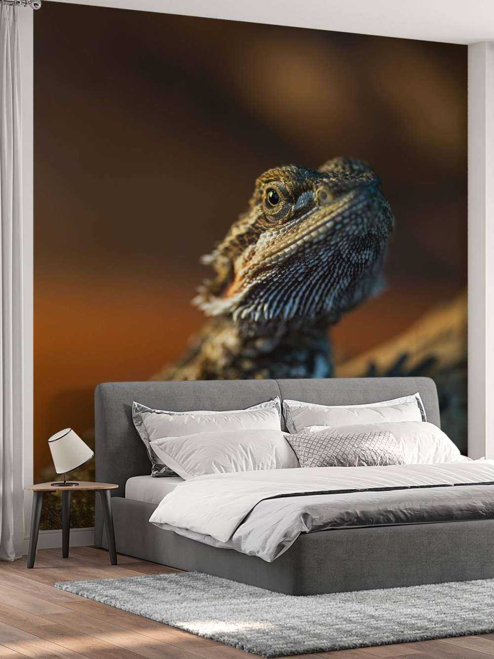 Gros plan d'un caméléon