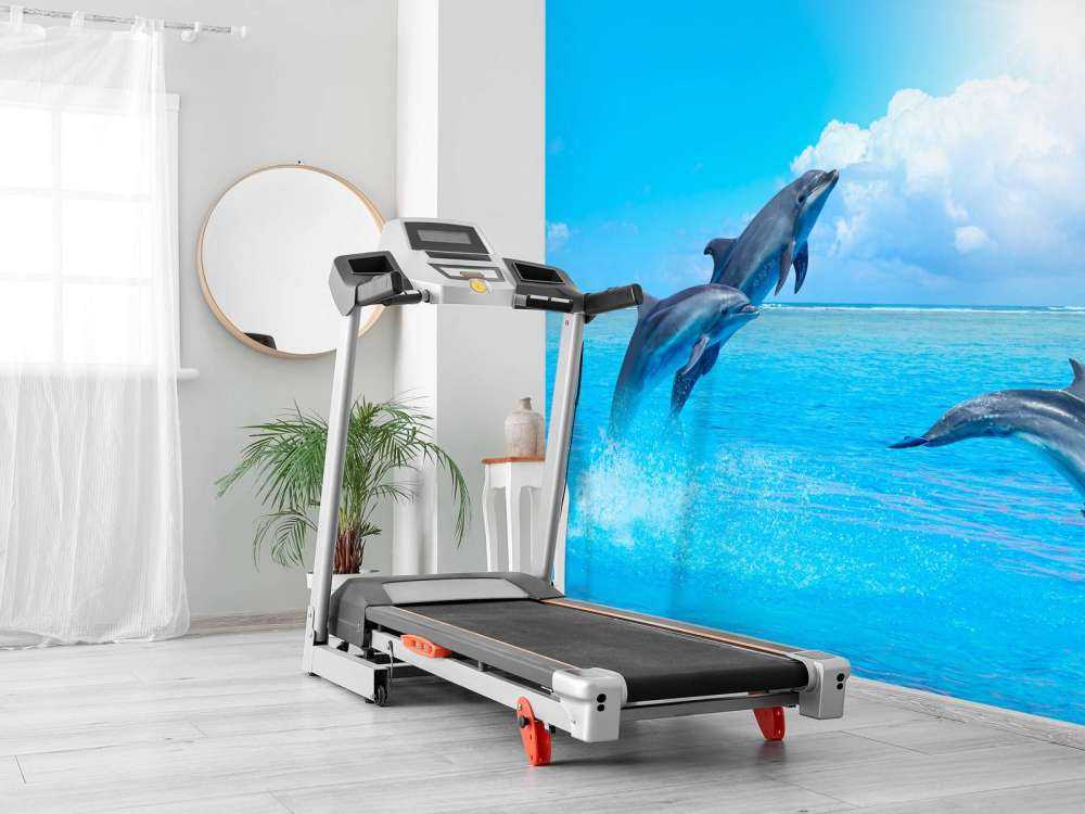 Les dauphins dans l'océan