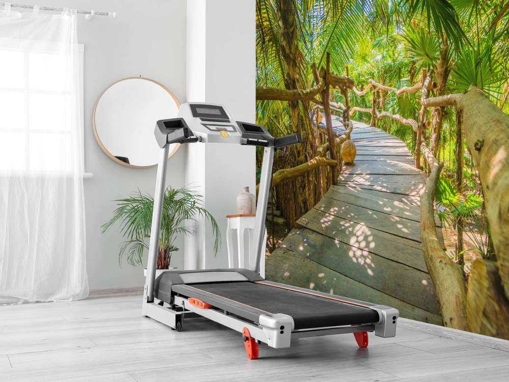 Pont dans la jungle tropicale