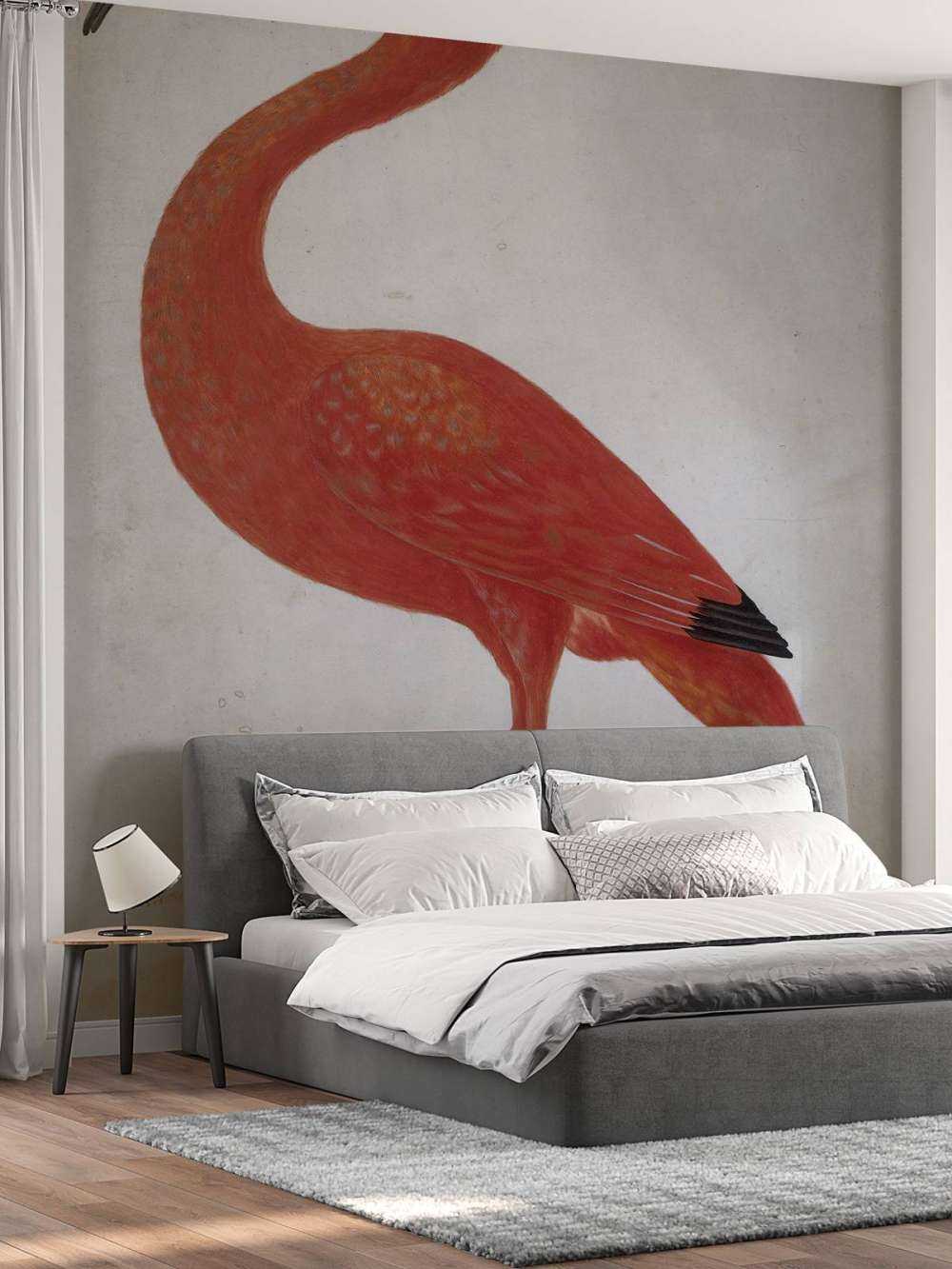 Ibis rouge à l'oeuf