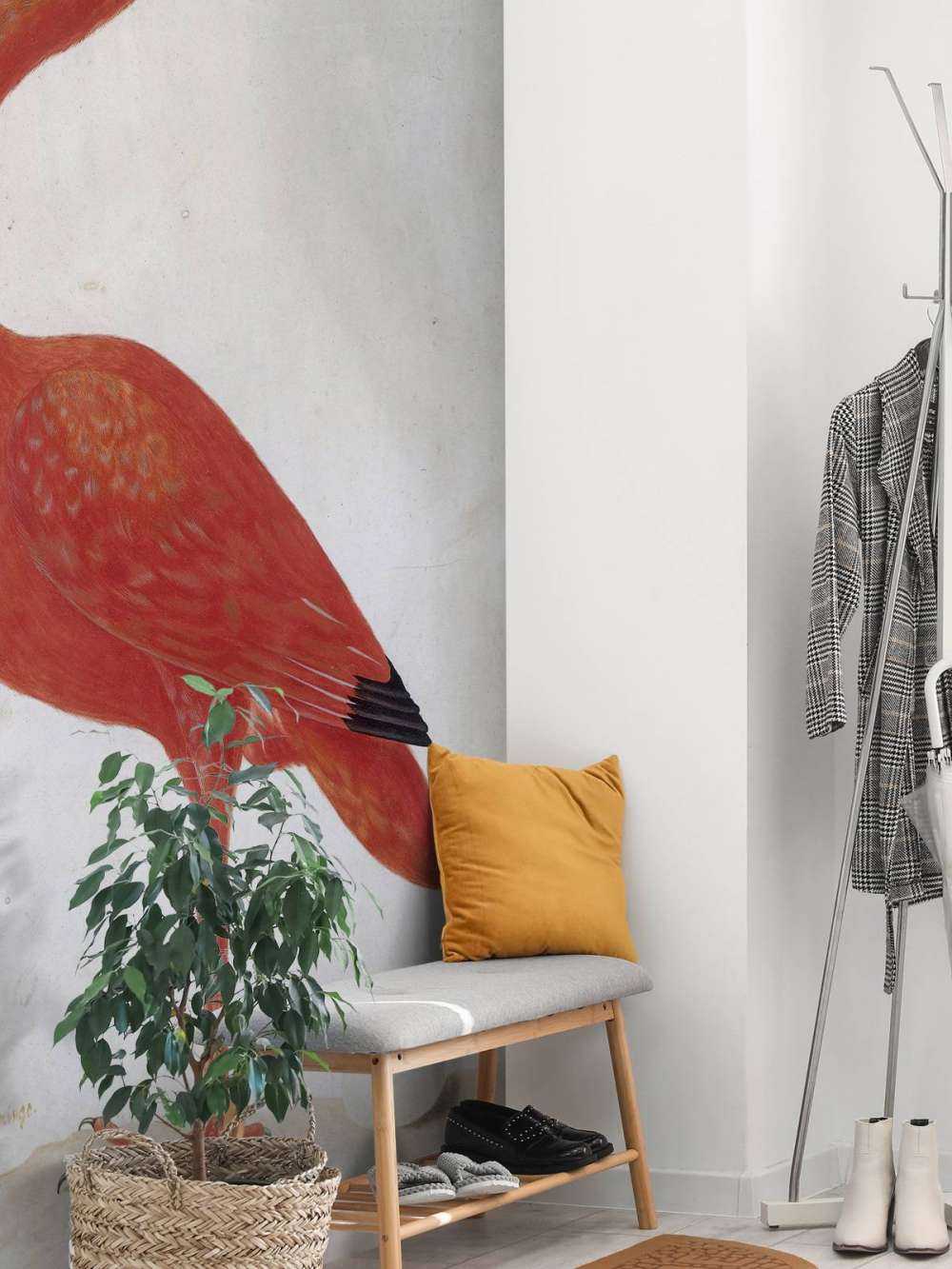 Ibis rouge à l'oeuf