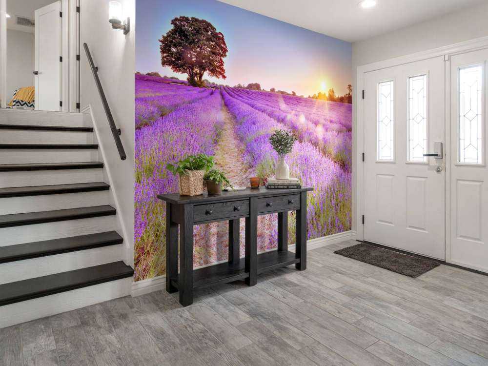 Lavender field at sunset