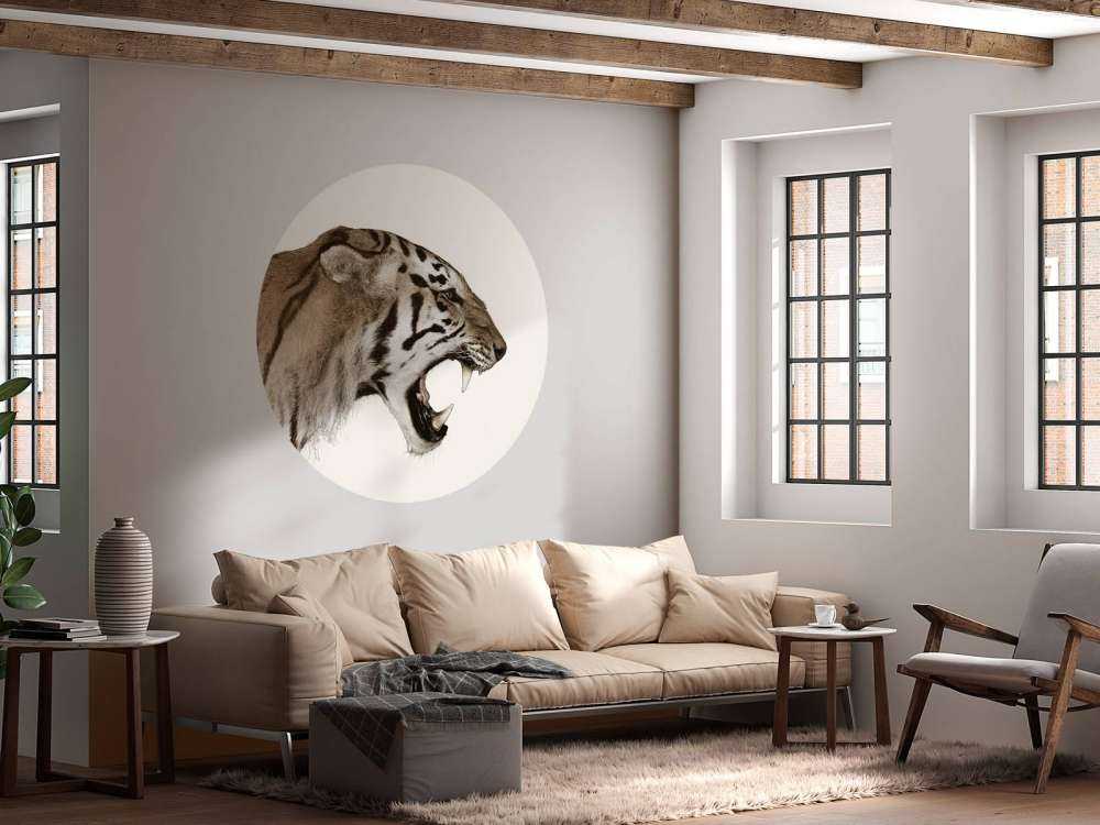 Tigre rugissant blanc