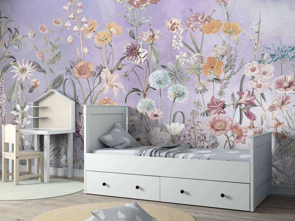 Primula 19