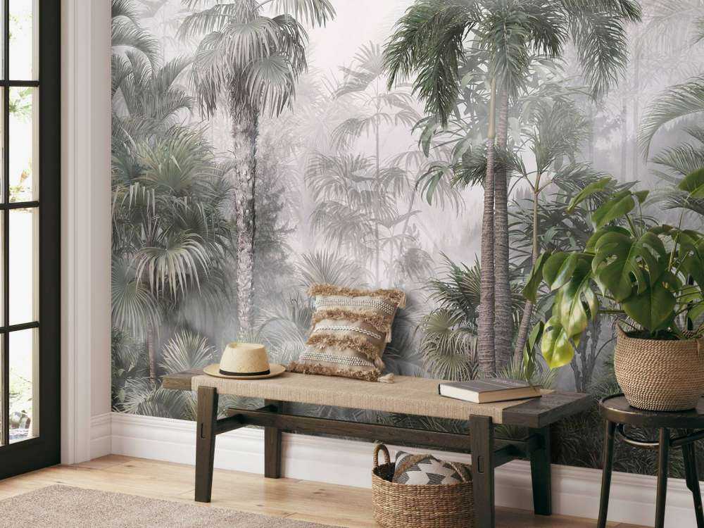 Brume Matinale dans les Tropiques