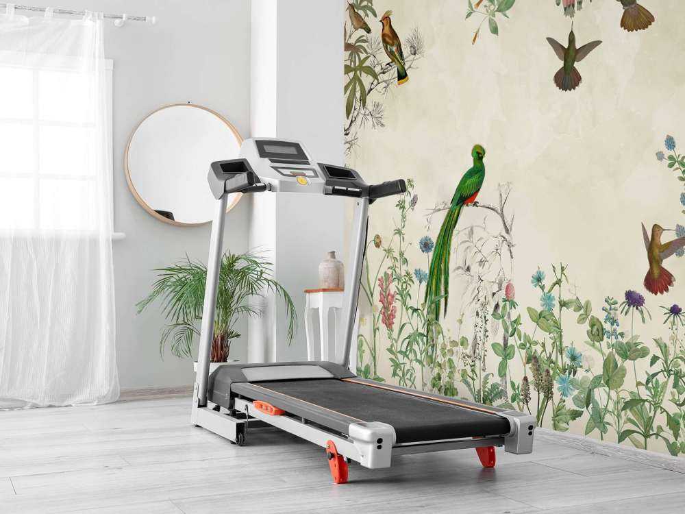 Fields Flower and Birds 2