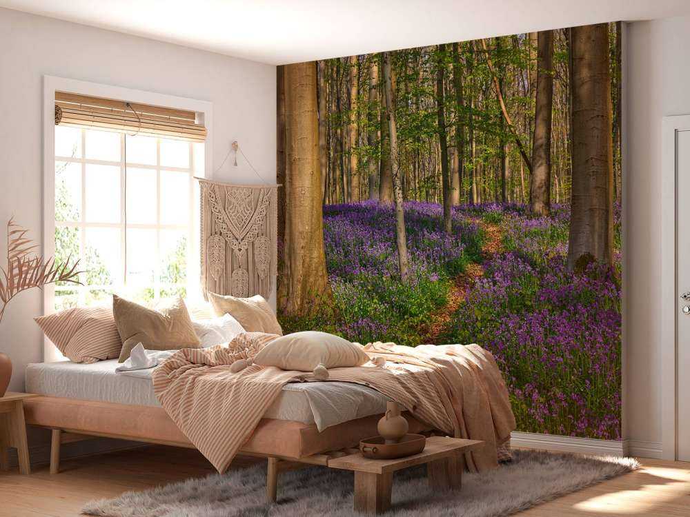 Chemin à travers une forêt avec des jacinthes