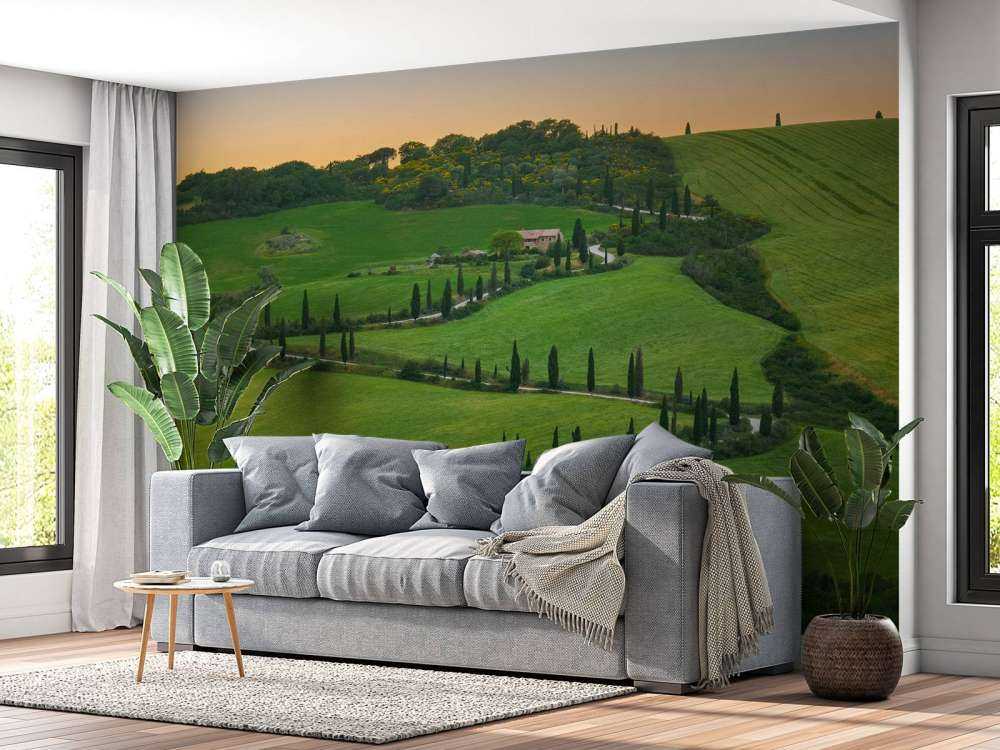 Route sinueuse avec des cyprès