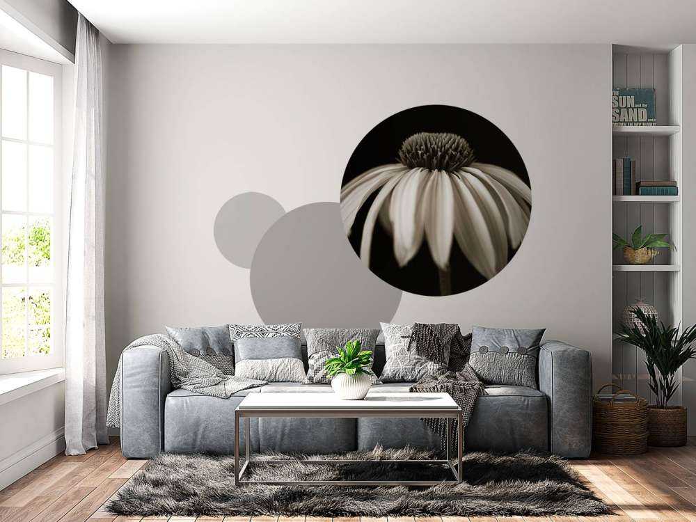 Fleur de cône en gros plan