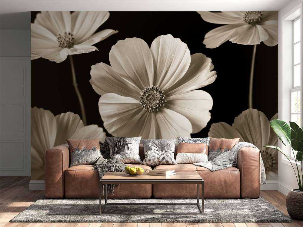 Plusieurs fleurs de cosmos