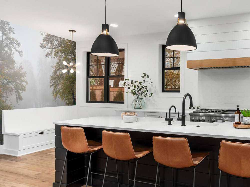 Étang de forêt dans la brume