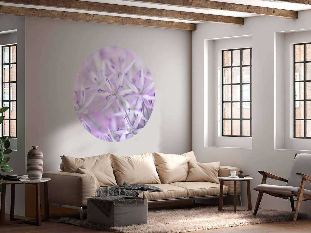 Fleurs d'allium en gros plan