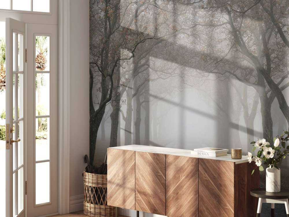 Route avec de vieux arbres