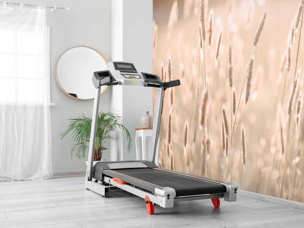 Lumière du soleil à travers la prairie