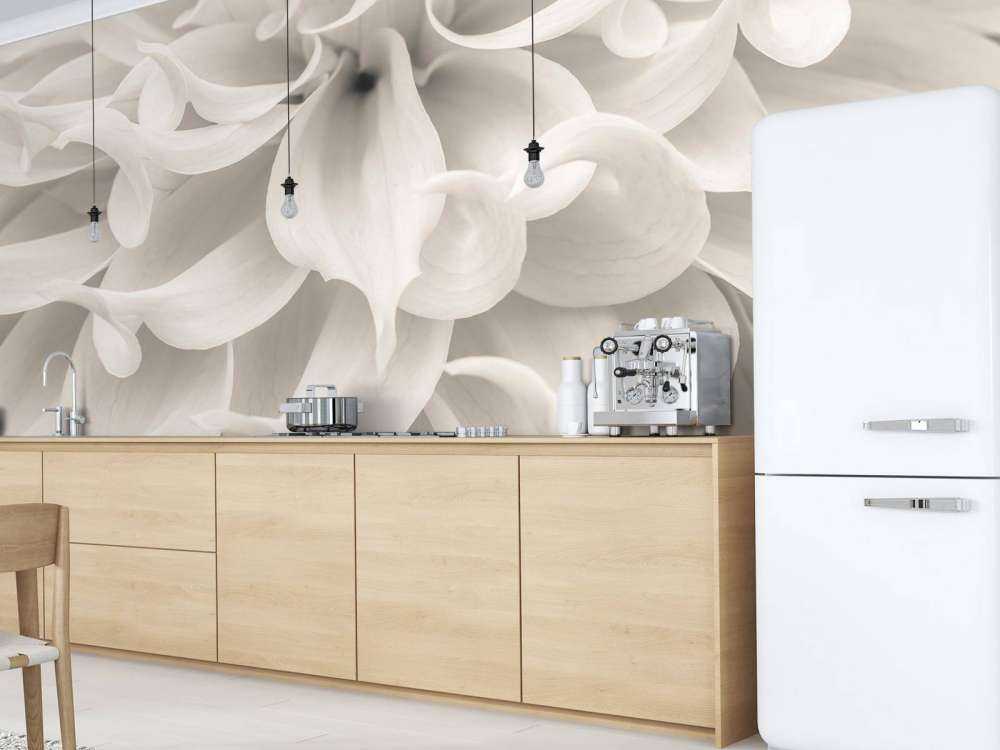 Gros plan sur une fleur de dahlia