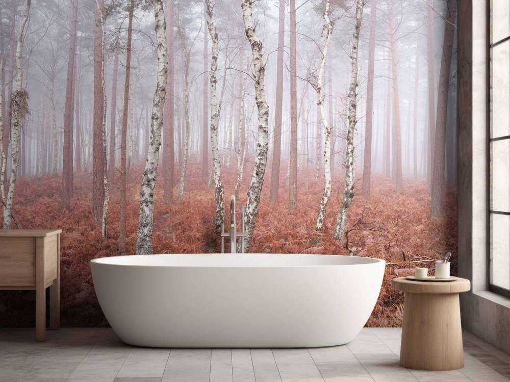 Forêt brumeuse abandonnée