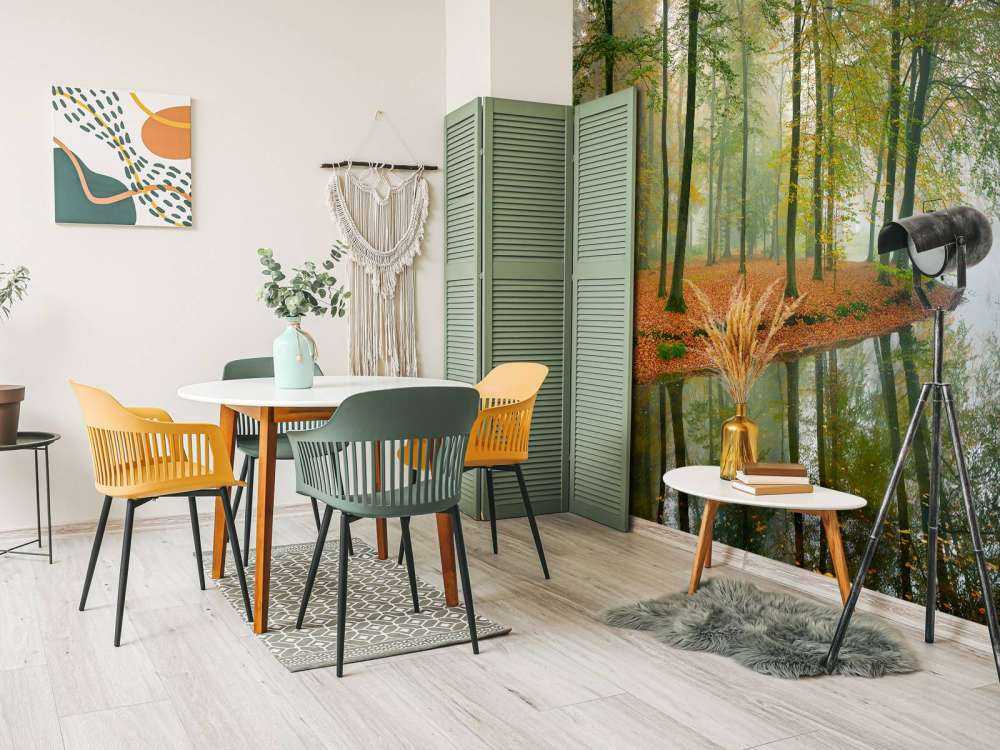 Réflexion d'arbres dans un étang