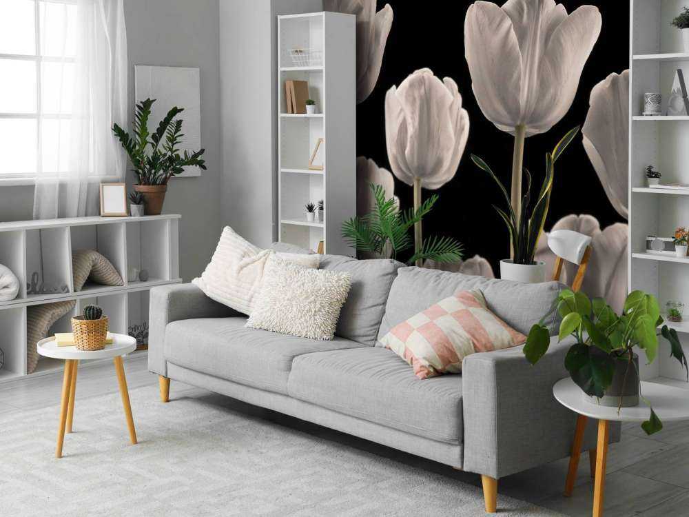 Différentes tulipes