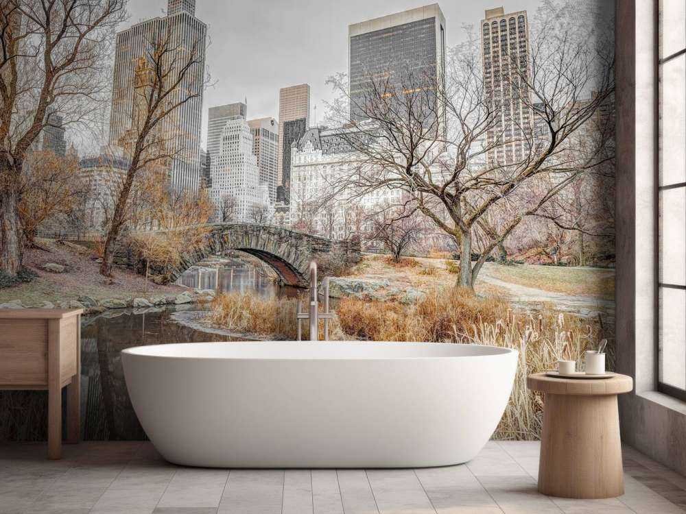 Central park en hiver