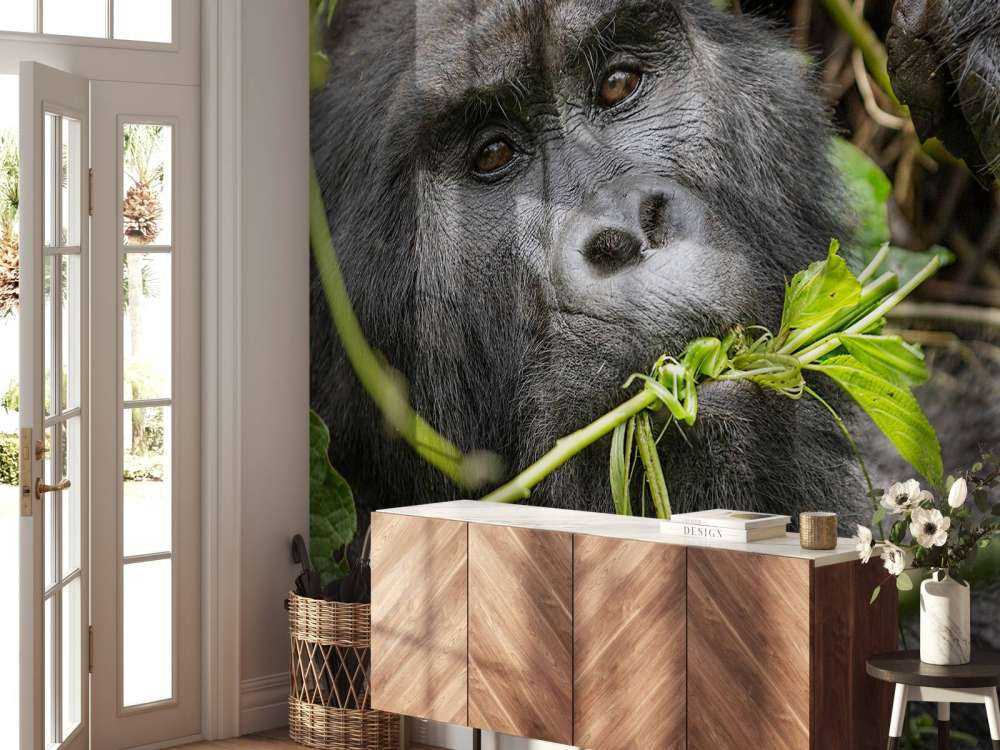 Gorille entre les branches