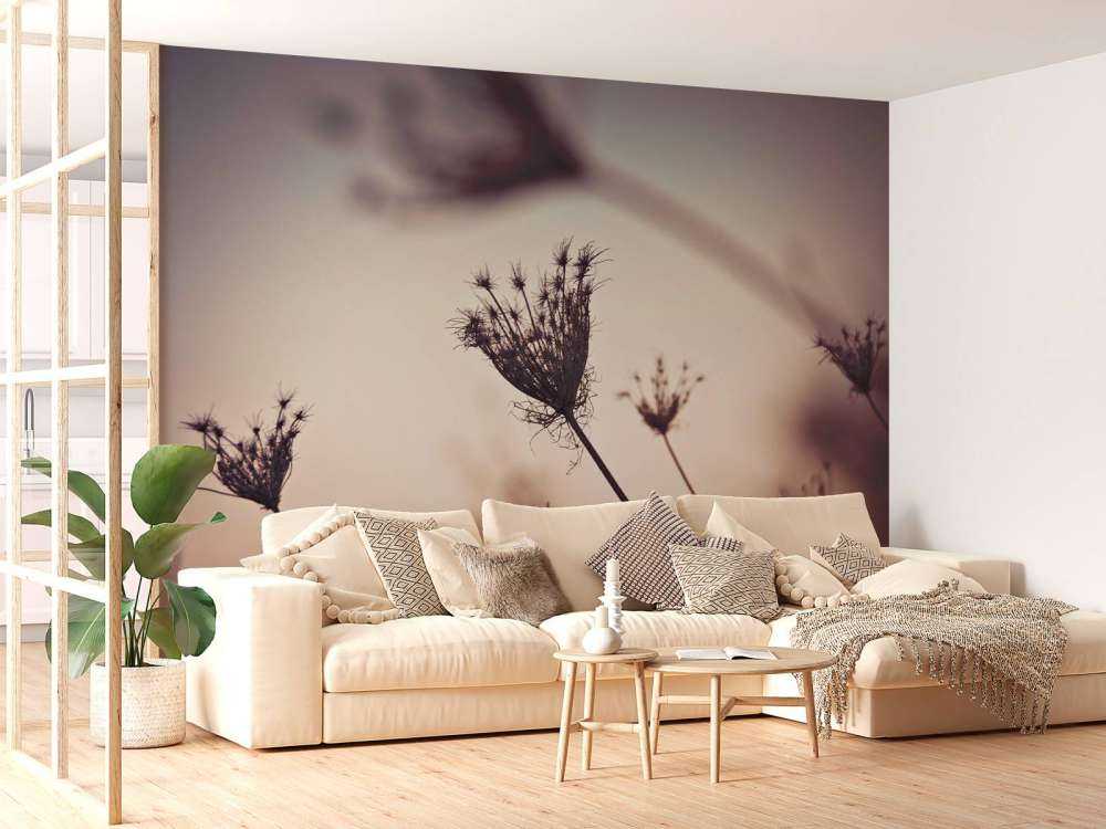 Reflet de plantes